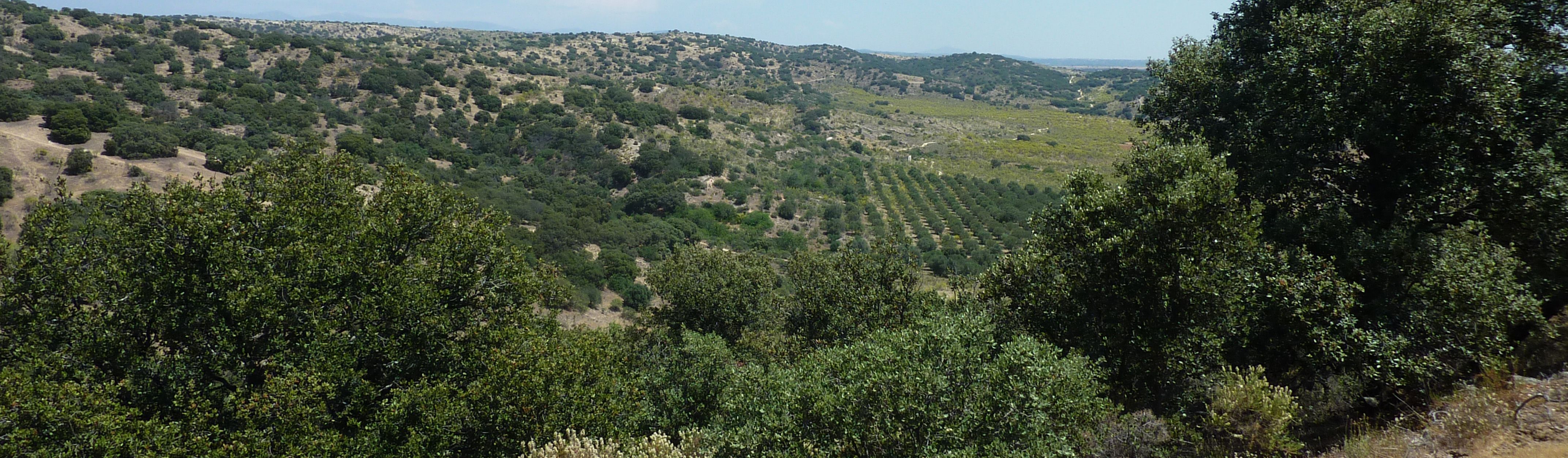 sistema_agrario