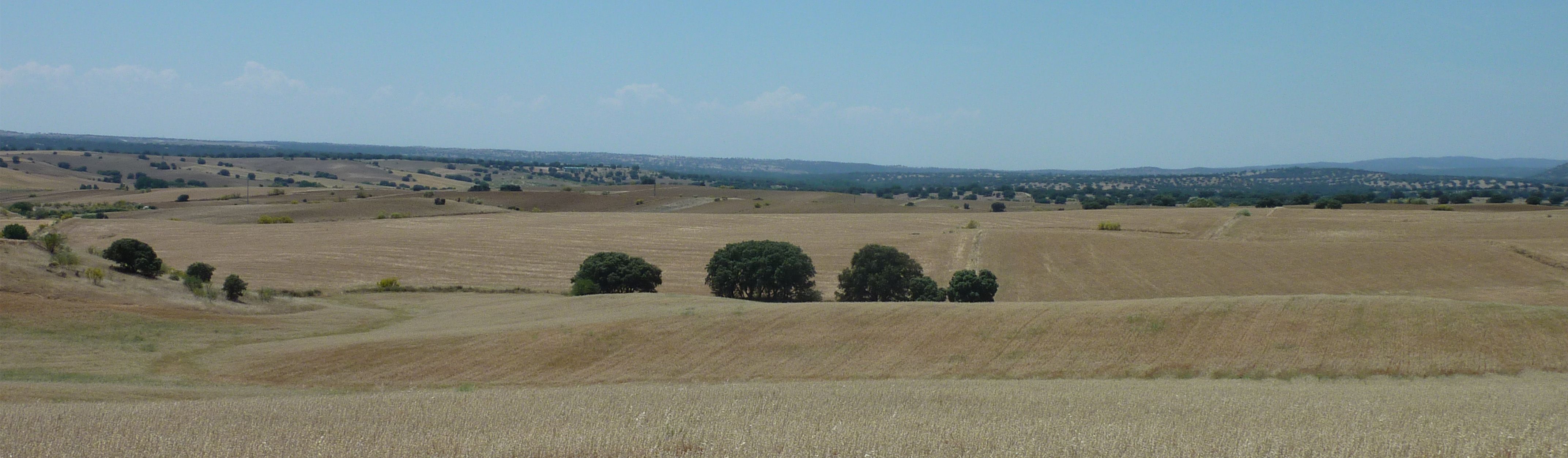 sistema_agrario